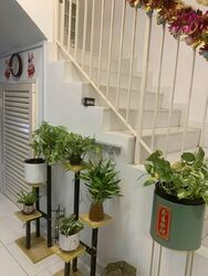 Blk 261 Bishan Street 22 (Bishan), HDB Executive #558127801